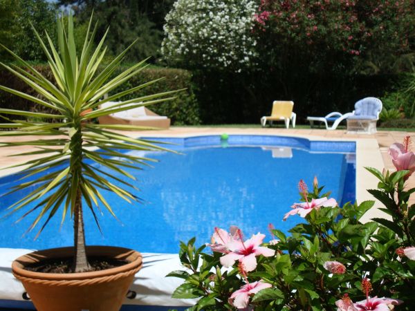 Cost of Pool Terrace Renovation in Scottsdale