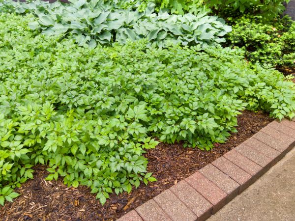 Cost of Brick Hardscaping in Scottsdale